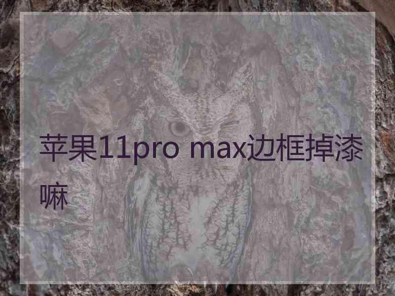 苹果11pro max边框掉漆嘛