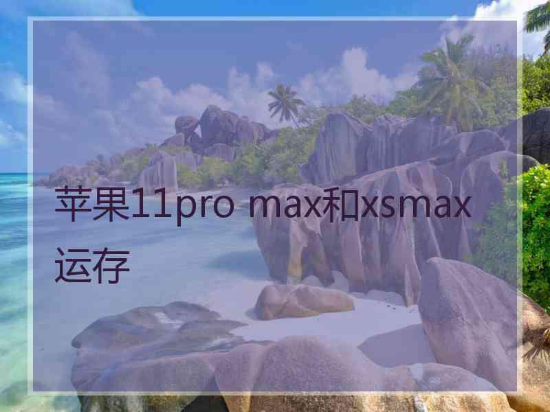 苹果11pro max和xsmax运存