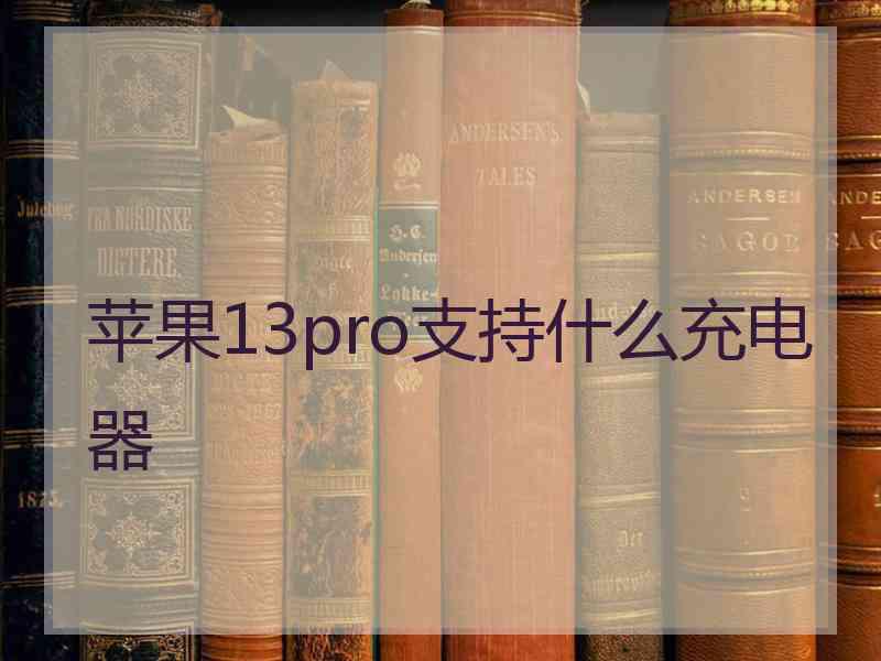 苹果13pro支持什么充电器