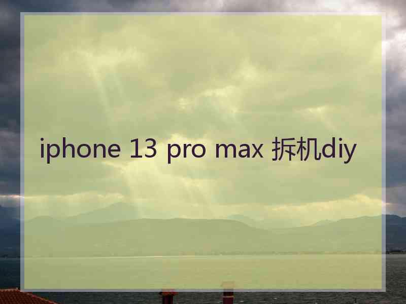 iphone 13 pro max 拆机diy