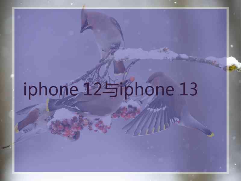 iphone 12与iphone 13