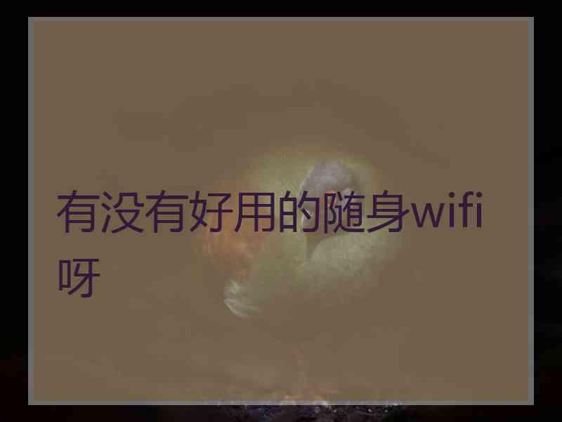 有没有好用的随身wifi呀