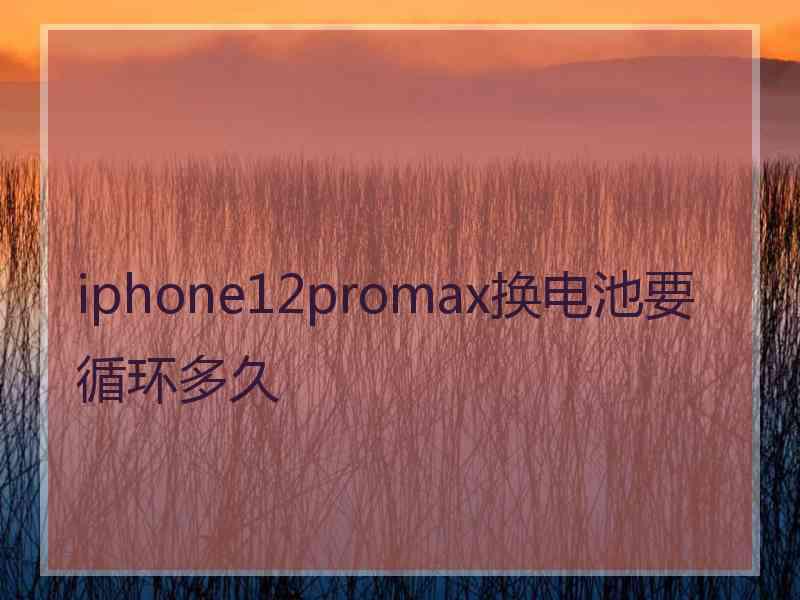 iphone12promax换电池要循环多久