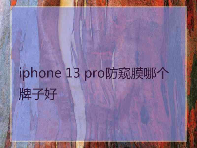 iphone 13 pro防窥膜哪个牌子好