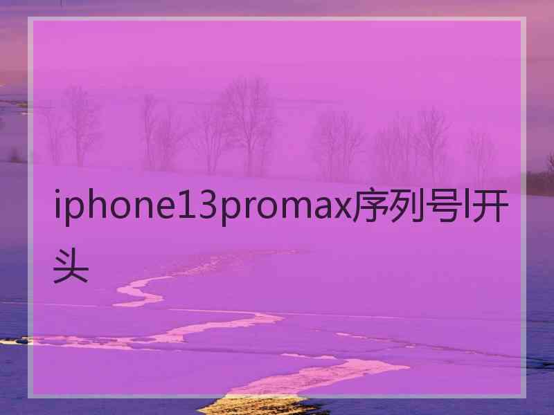 iphone13promax序列号l开头