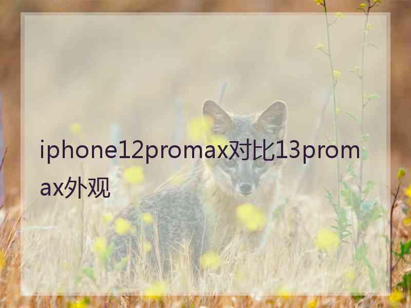 iphone12promax对比13promax外观