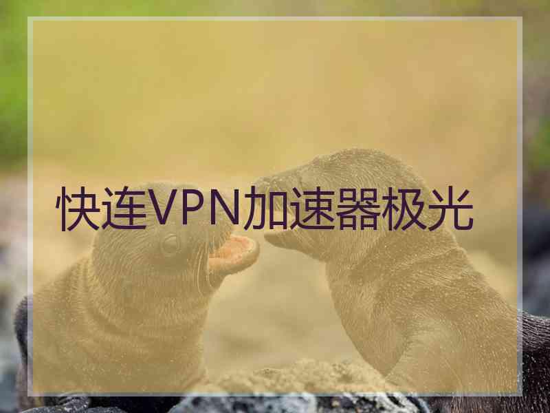 快连VPN加速器极光