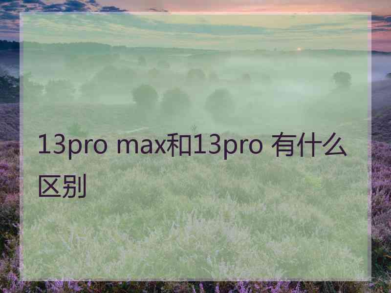 13pro max和13pro 有什么区别