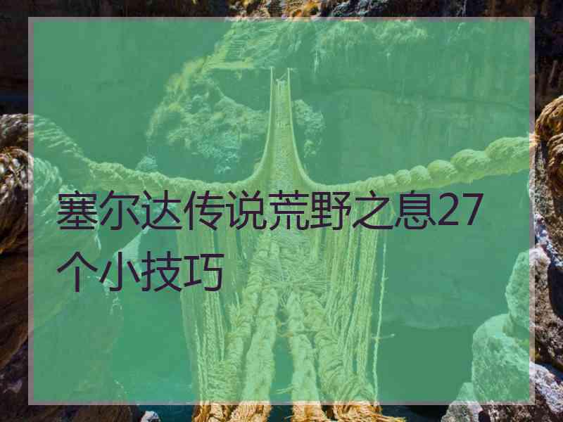 塞尔达传说荒野之息27个小技巧