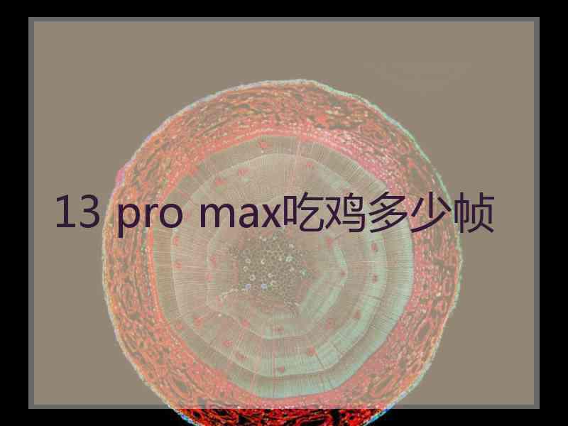 13 pro max吃鸡多少帧