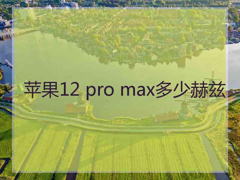 苹果12 pro max多少赫兹