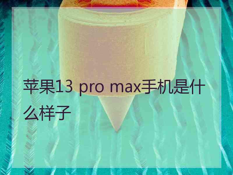 苹果13 pro max手机是什么样子