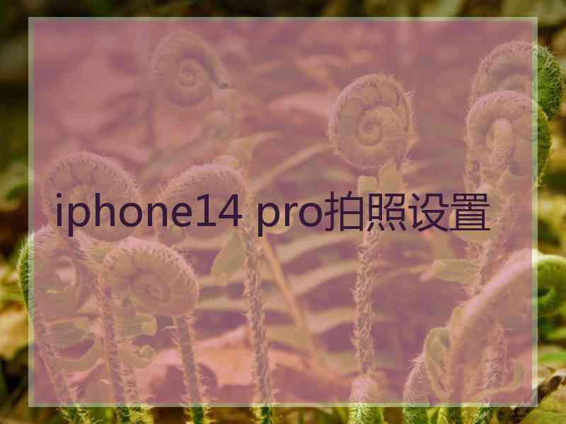 iphone14 pro拍照设置