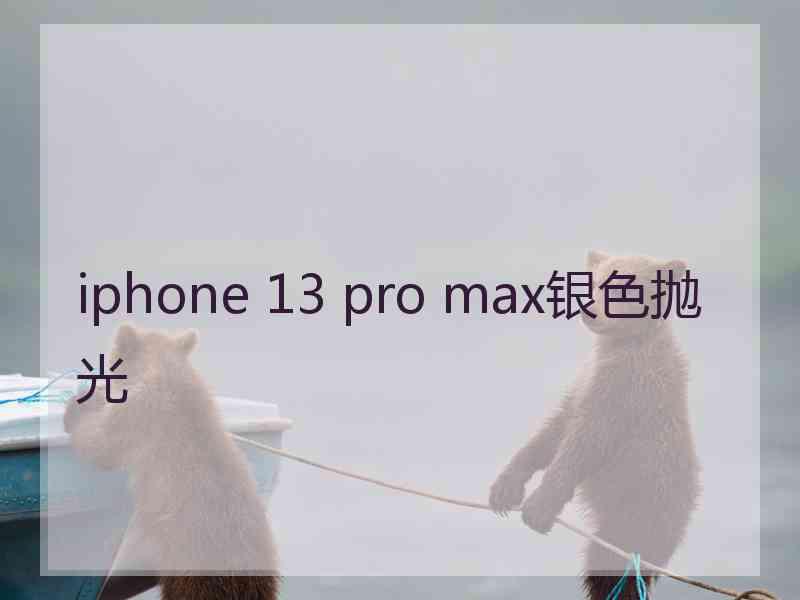 iphone 13 pro max银色抛光