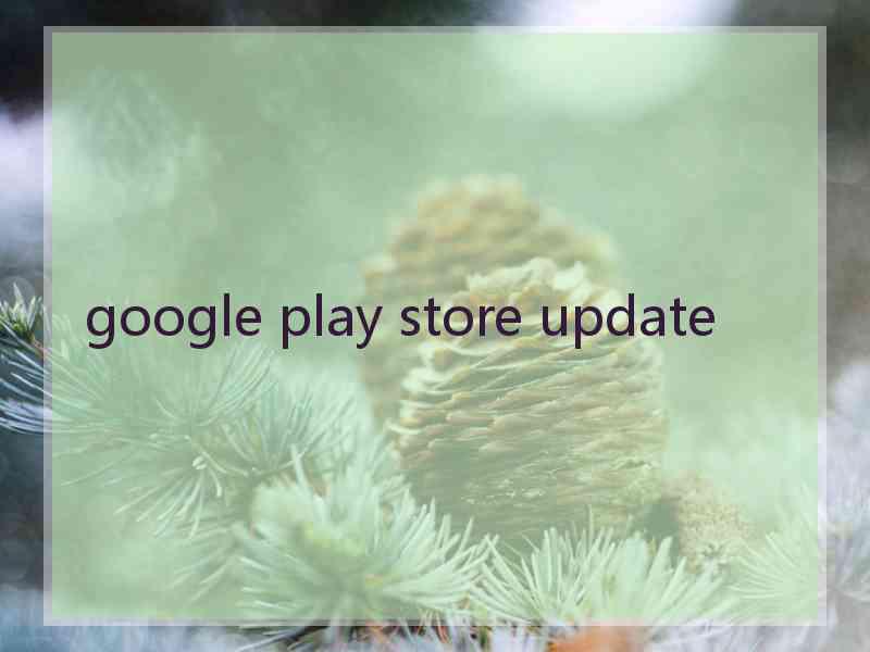 google play store update