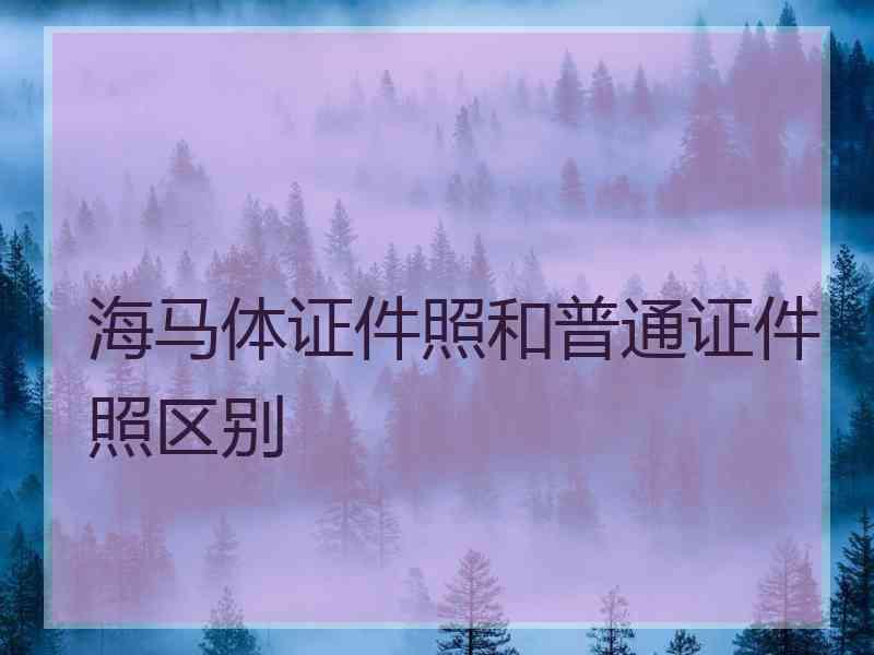 海马体证件照和普通证件照区别