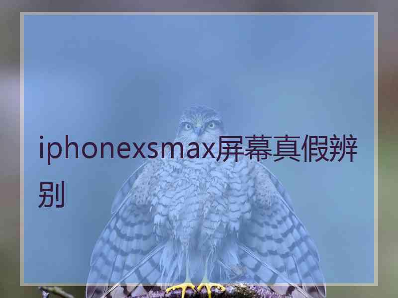 iphonexsmax屏幕真假辨别