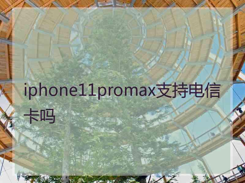 iphone11promax支持电信卡吗