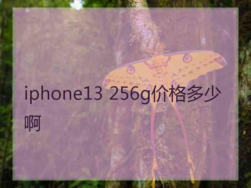 iphone13 256g价格多少啊