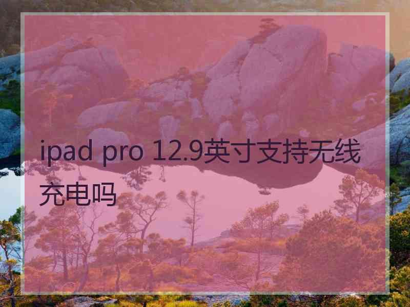 ipad pro 12.9英寸支持无线充电吗