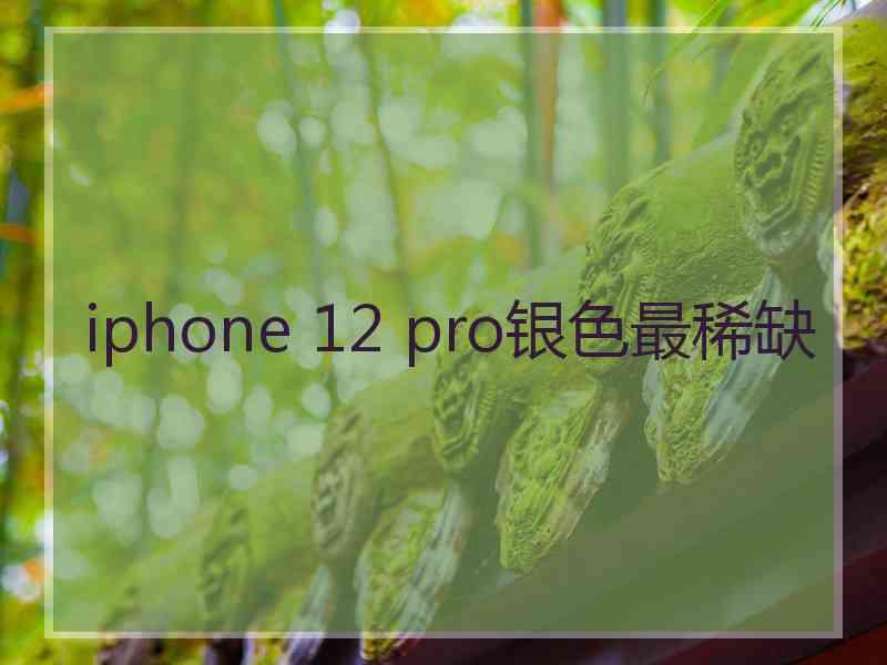 iphone 12 pro银色最稀缺