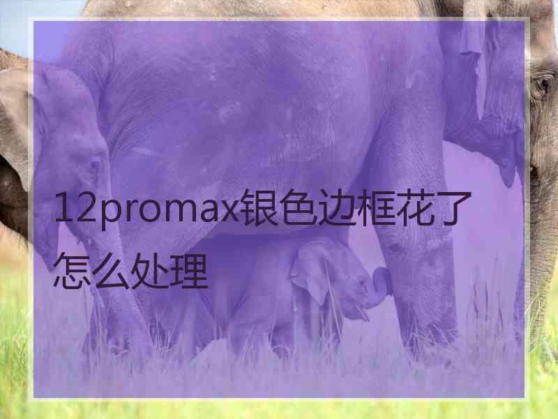 12promax银色边框花了怎么处理