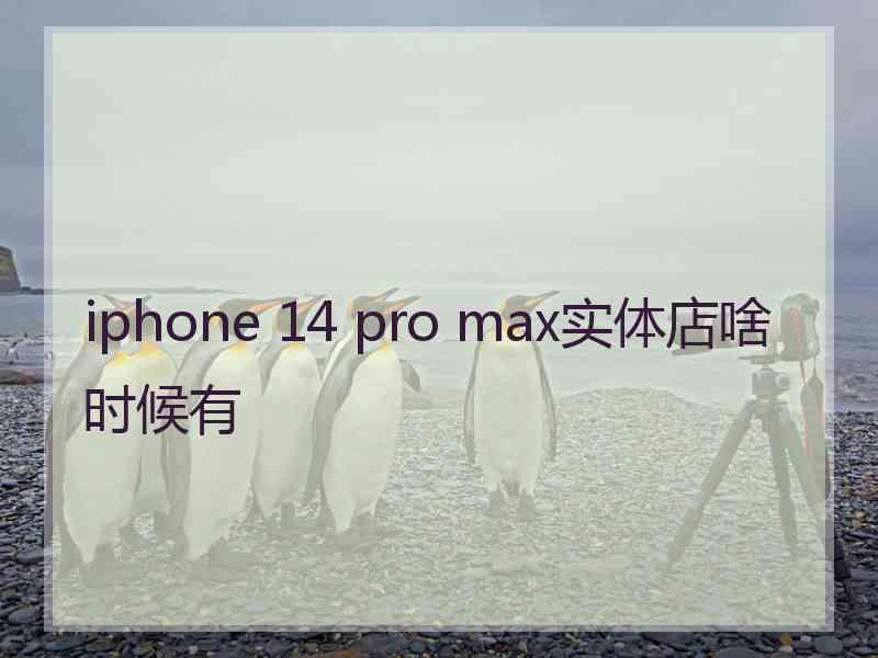 iphone 14 pro max实体店啥时候有