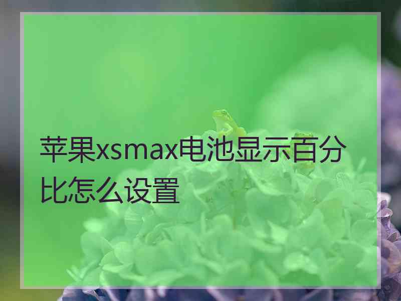 苹果xsmax电池显示百分比怎么设置