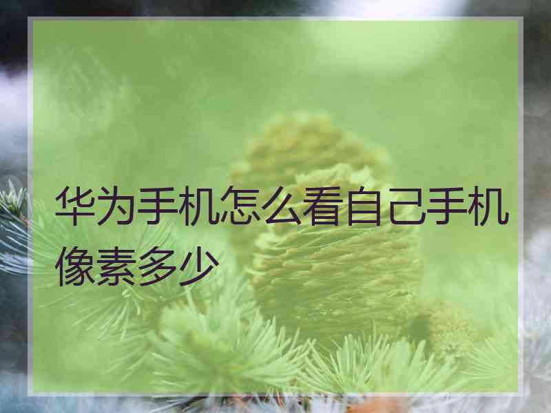 华为手机怎么看自己手机像素多少