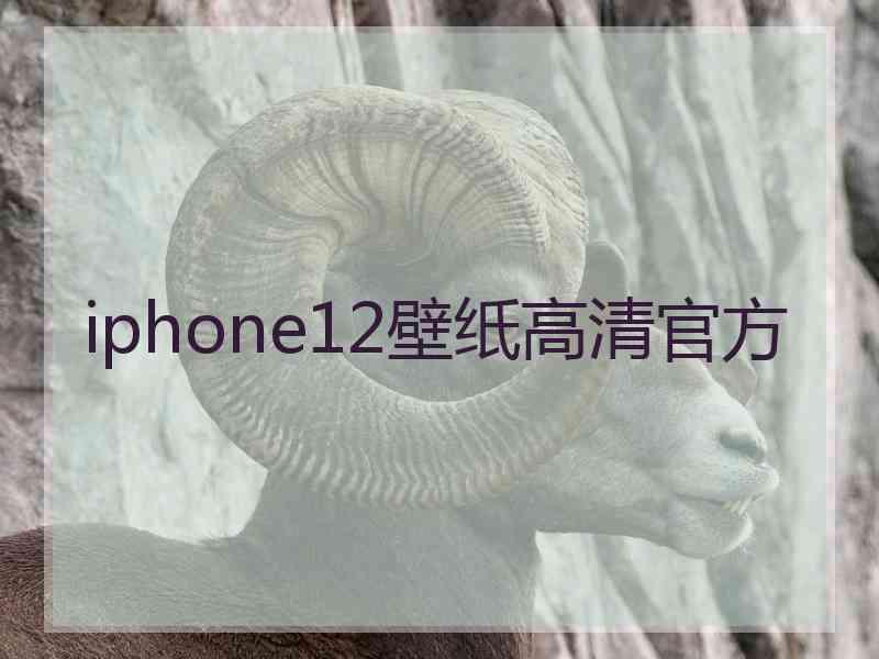 iphone12壁纸高清官方