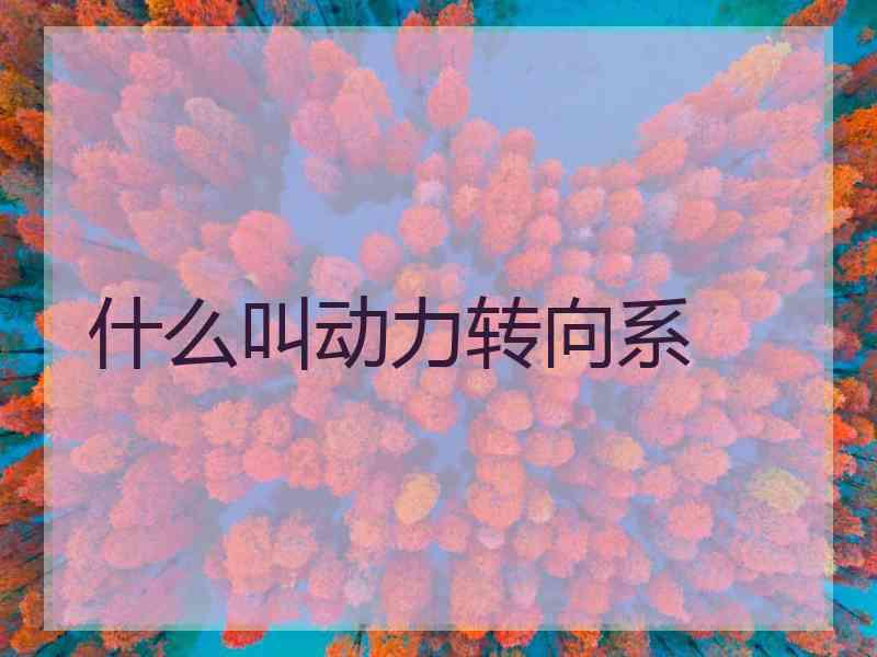 什么叫动力转向系