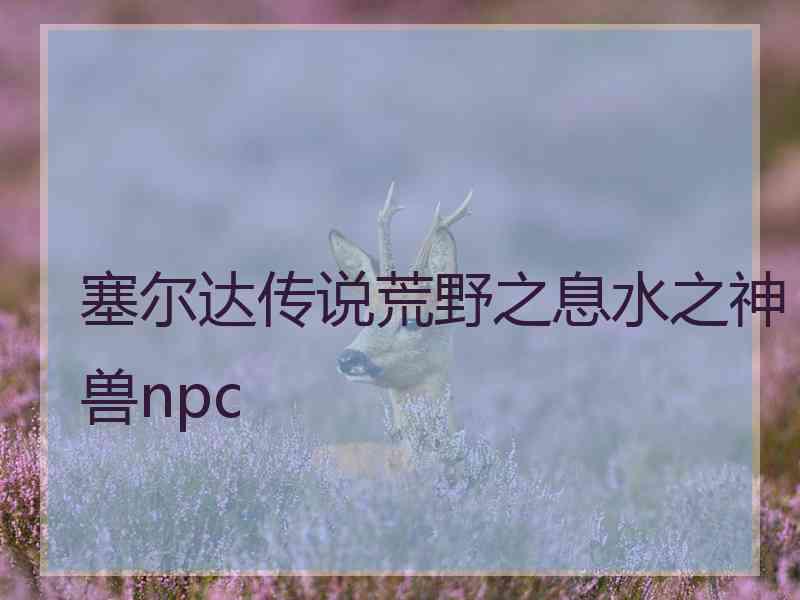 塞尔达传说荒野之息水之神兽npc