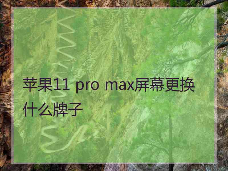 苹果11 pro max屏幕更换什么牌子