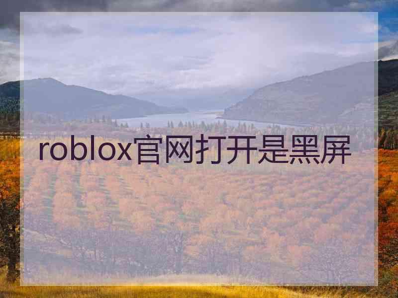 roblox官网打开是黑屏