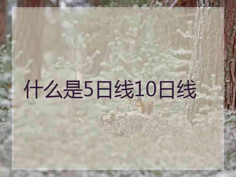 什么是5日线10日线