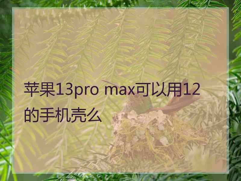 苹果13pro max可以用12的手机壳么