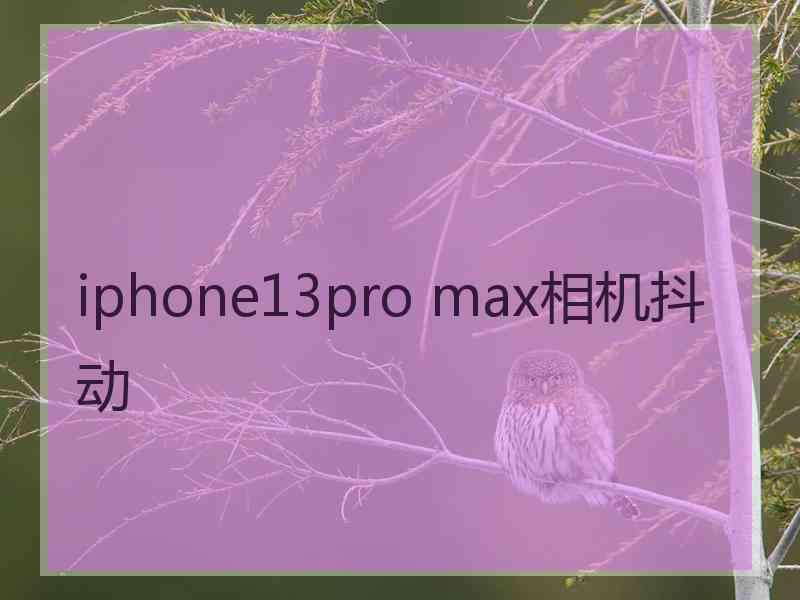 iphone13pro max相机抖动