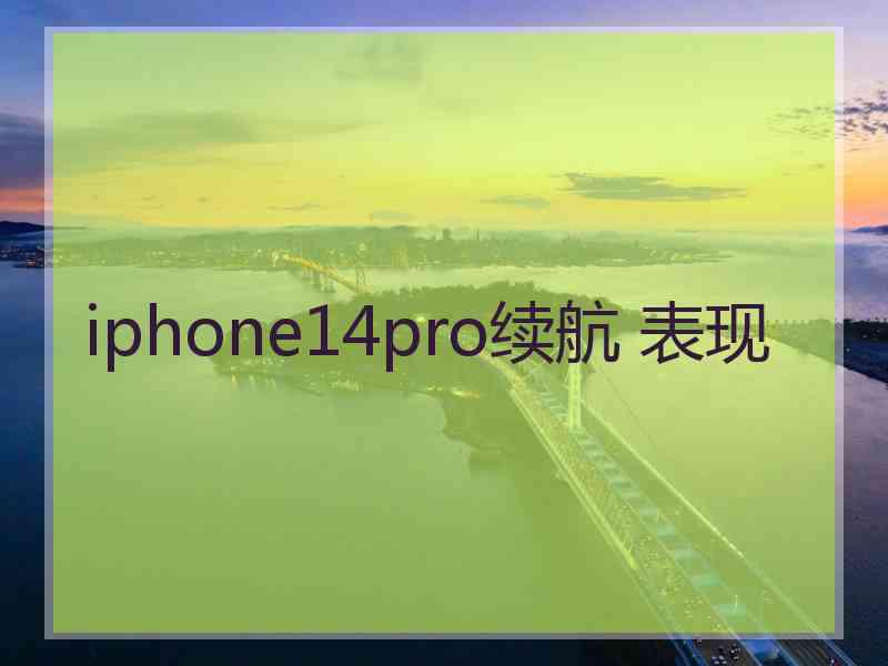 iphone14pro续航 表现