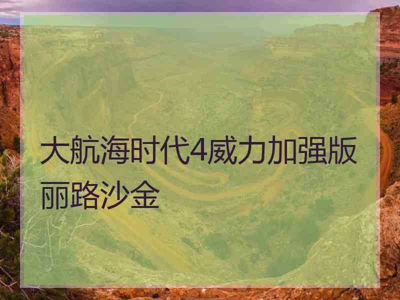 大航海时代4威力加强版丽路沙金