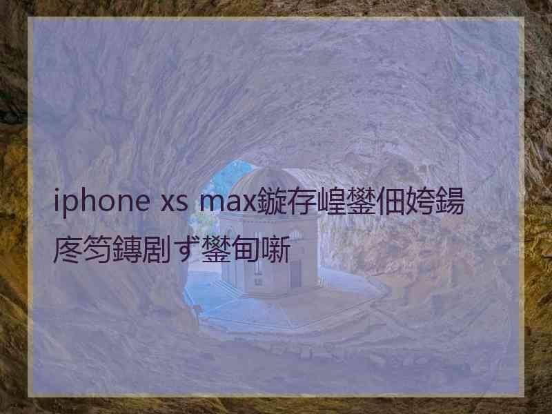 iphone xs max鏇存崲鐢佃姱鍚庝笉鏄剧ず鐢甸噺