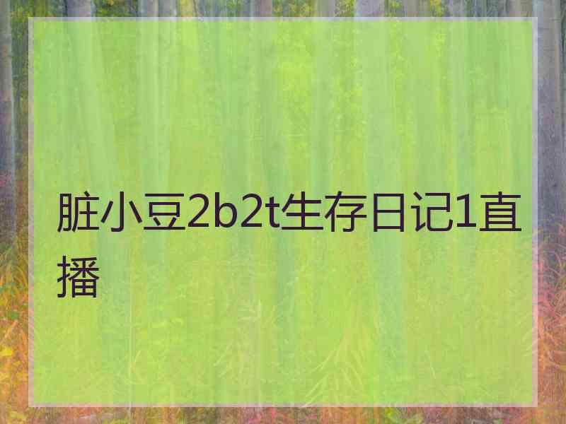 脏小豆2b2t生存日记1直播