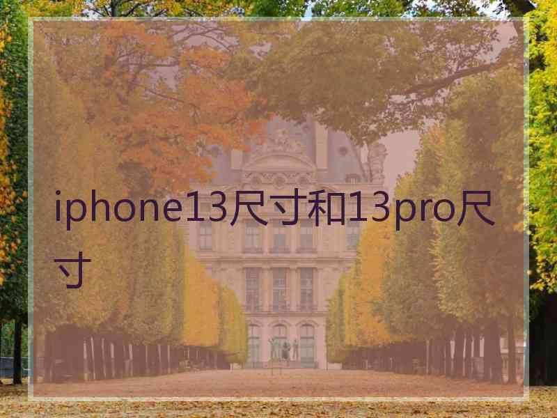 iphone13尺寸和13pro尺寸