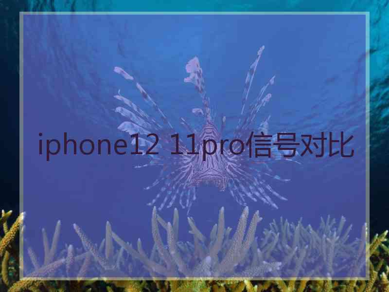 iphone12 11pro信号对比