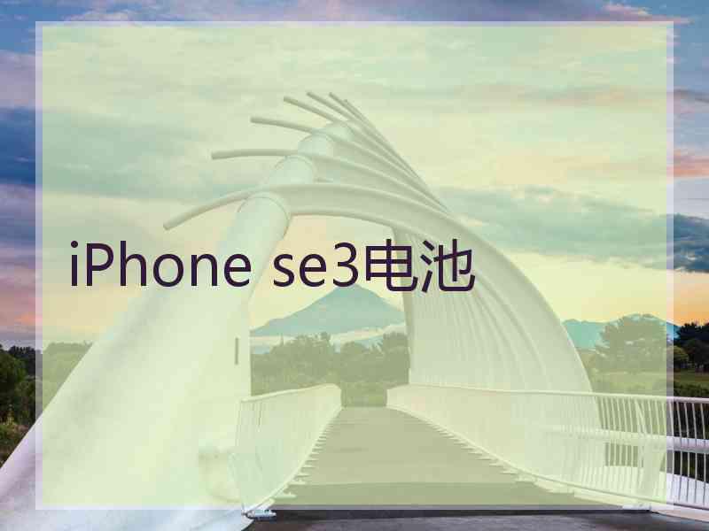 iPhone se3电池