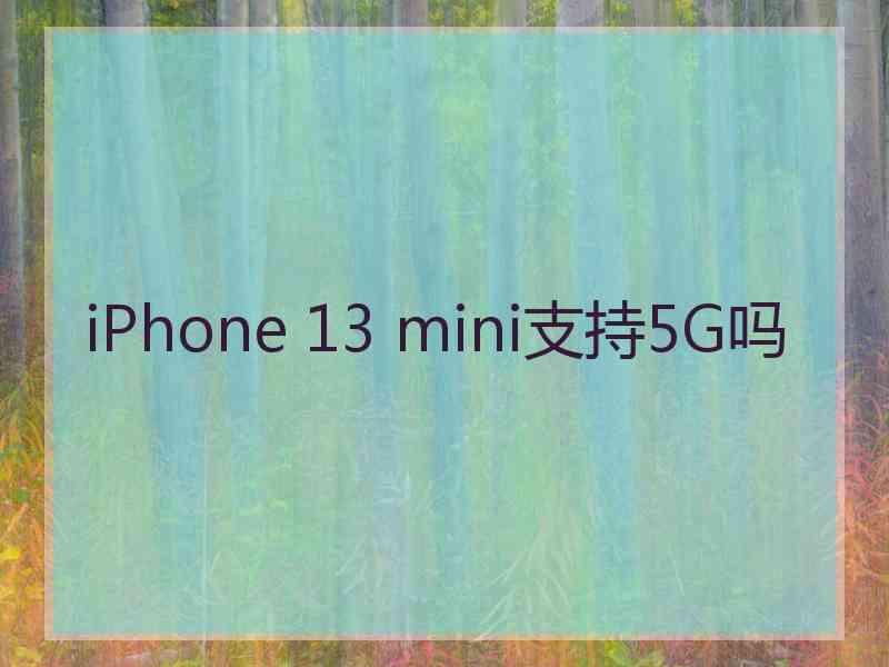 iPhone 13 mini支持5G吗