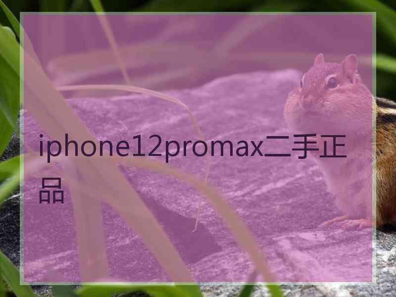 iphone12promax二手正品