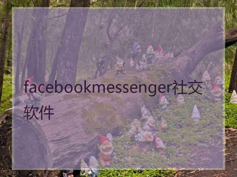 facebookmessenger社交软件