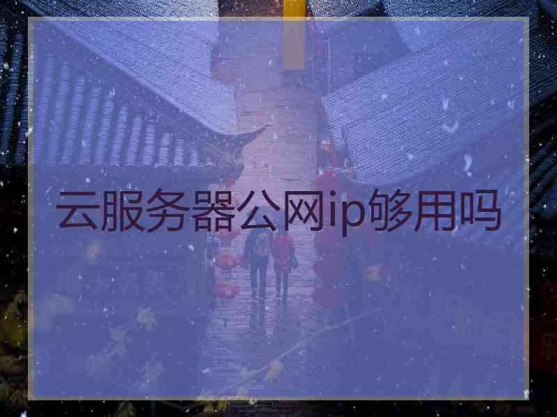 云服务器公网ip够用吗