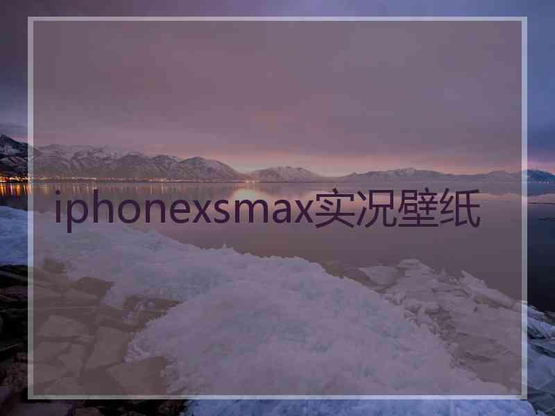 iphonexsmax实况壁纸