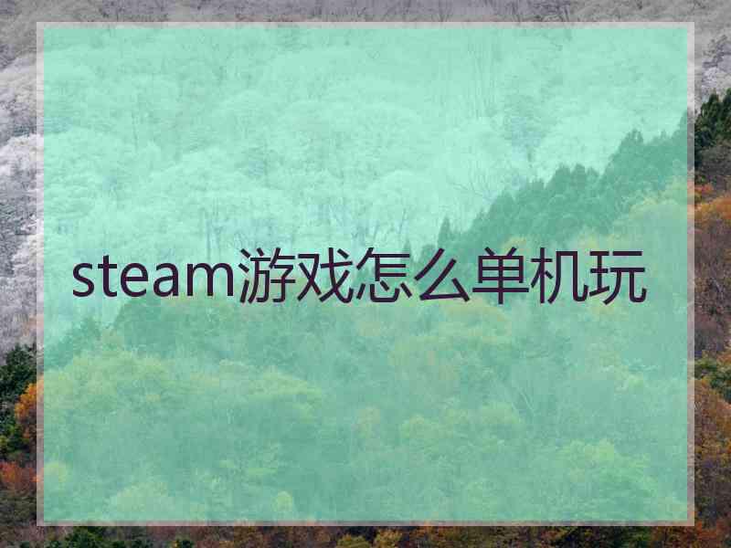 steam游戏怎么单机玩